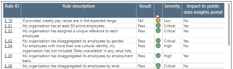 A page from the Data Quality Review report shows a list of rules, each with a pass or fail result. Rule E_19 is at the top of the list and has a fail result.