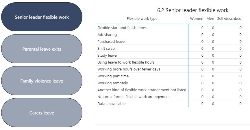 A page from the Indicators report shows 4 buttons and a data table titled '6.2 Senior leader flexible work'. Every value in the table is zero.